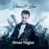 Omid Hojjat - صلح و عشق